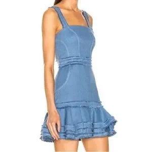 Alexis judith mini dress deals
